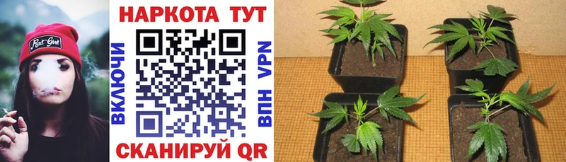 Купить наркотики Малаховка СОЛЬ Кокаин Меф мяу мяу МДМА Марихуана АМФ