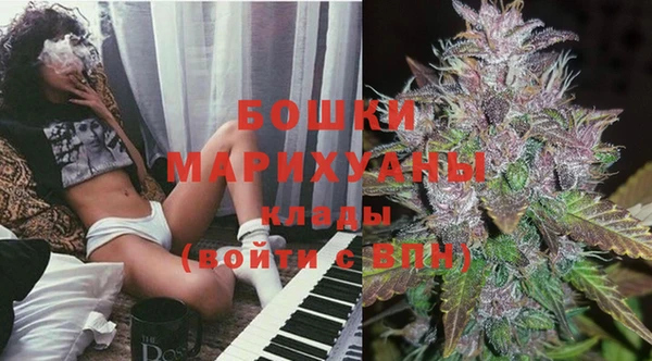 сатива Нягань