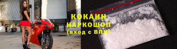 сатива Нягань