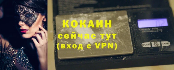 PSILOCYBIN Няндома