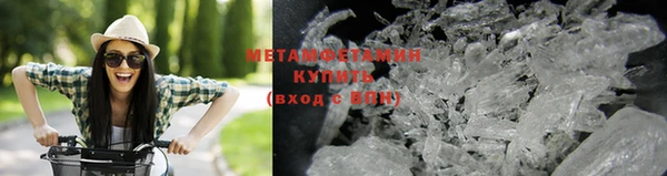 прущие грибы Нязепетровск