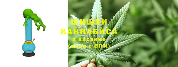 прущие грибы Нязепетровск