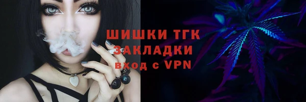 прущие грибы Нязепетровск