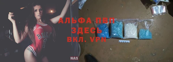 прущие грибы Нязепетровск