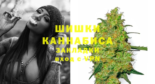 PSILOCYBIN Няндома