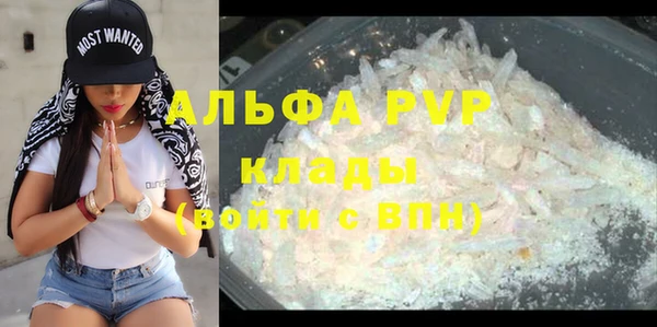 PSILOCYBIN Няндома